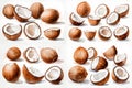 Water color painting Set of coconut on super white background. Created using Generative AI