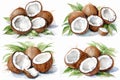 Water color painting Set of coconut on super white background. Created using Generative AI