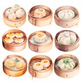 Water color style collection of realistic Steamed Buns and Dim Sum isolated transparent background on png file.