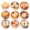 Water color style collection of realistic Steamed Buns and Dim Sum isolated transparent background on png file. Royalty Free Stock Photo