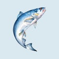 Water Color vector blue sea fish illustration seafood Royalty Free Stock Photo