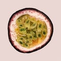 Water color vector passion fruit illustration