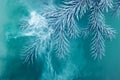 Water color white background acrylic inside smoke steam frost snow branch needles christmas tree winter blue frozen watercolor