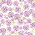 Water colour Allium Giganteum purple Flower Seamless Background Wrap paper design Royalty Free Stock Photo