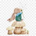 Water colour Cute Rabbit sitting on mushroom blowing dandelion flower,Hand paint Cartoon bunny character for Easter greeting card Royalty Free Stock Photo