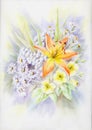 Water-colour, summer bouquet Royalty Free Stock Photo