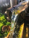 Water coming down in a wooden log