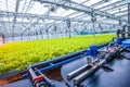 Water conveying at hydroponic plantation Royalty Free Stock Photo