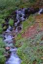 Water course in Irati, Spain