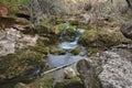 Water course and vegetation