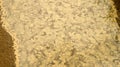 Water covered with pollen Royalty Free Stock Photo