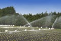 Water crops irrigation Royalty Free Stock Photo