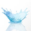 Water crown splash, isolated on transparent background.