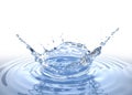 Water crown splash in a water pool on white