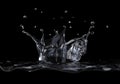 Water crown splash viewed from a side, on black background.