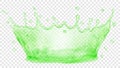 Water crown. Splash of water. Transparency only in vector file Royalty Free Stock Photo