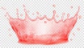 Water crown. Splash of water. Transparency only in vector file Royalty Free Stock Photo