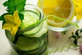 Water with cucumber lemon detox healthy slim Royalty Free Stock Photo