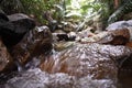 Water cutting through the rocks between the forest