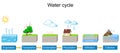 Water cycle. detailed explanation infographic