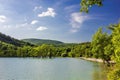 Water cypresses in mountain lake with green water, trees and forest on slopes