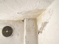 Stain on the ceiling from leaking water. Damage on fungus mold weathered wall. Mold growth on old white wall surface Royalty Free Stock Photo