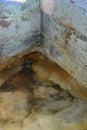 Water damage and mold in basement