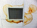 Water Damage Stains on Ceiling Tiles by Air Vent