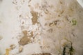 Water damages and mold on the ceiling in the Mamluks on the Temple Mount in Jerusalem Royalty Free Stock Photo