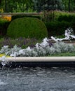 Water dancing across pond in garden