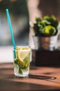 Water detox with lemon and mint on a dark wooden background. Royalty Free Stock Photo