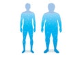 Water in difference body between shapely man and fat.