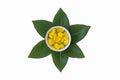 Water dipper with flowers of golden shower,Songkran festival Royalty Free Stock Photo