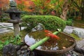 Water dipper on stone basin at Enkoji temple, Kyoto