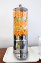 Water Dispenser With Fruit