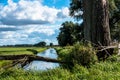 Water ditch Royalty Free Stock Photo