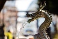 A Water Dragon Royalty Free Stock Photo