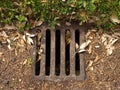 Water drain cover by the side of a path