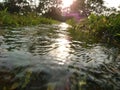 Water drain, little river,