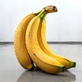 Water-drenched Bananas: A Photorealist Absurdist Installation