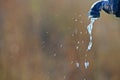 WATER DRIP AND SPATTER FROM LEAKING TAP Royalty Free Stock Photo