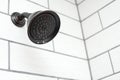 Water dripping from shower head Royalty Free Stock Photo