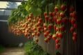 The water drips down from the strawberries, creating a beautiful atmosphere