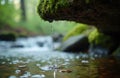 Water drips from mossy rock into forest stream with blurred background. Tiny water drops fall into clear water, creating ripples. Royalty Free Stock Photo