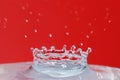 Water drop Royalty Free Stock Photo