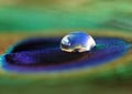 Water drop