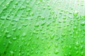 Water drop on banana leaf texture background after rain fall Royalty Free Stock Photo