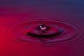 Water drop close up with concentric ripples colourful blue and r Royalty Free Stock Photo