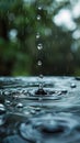 Water Drop Close Up With Trees in Background Royalty Free Stock Photo