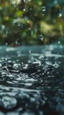 Water Drop Close Up With Trees in Background Royalty Free Stock Photo